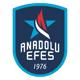 Imagen principal - Anadolu Efes