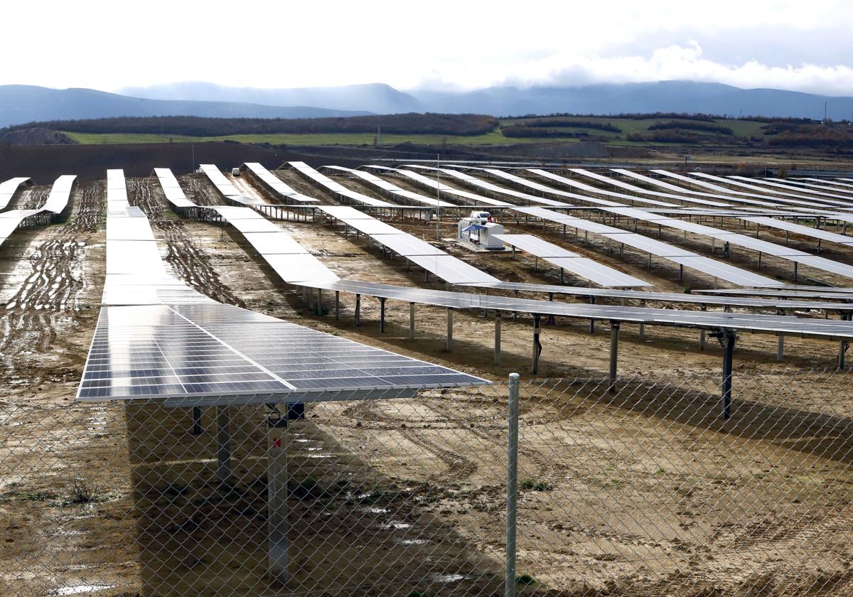 Placas de un parque fotovoltaico en Arasur