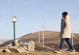Una senderista camina junto a un parque eólico.