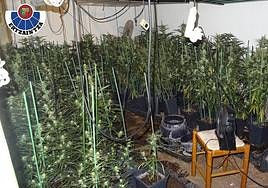 La vivienda tenía equipos de iluminación y ventilación, entre otros.