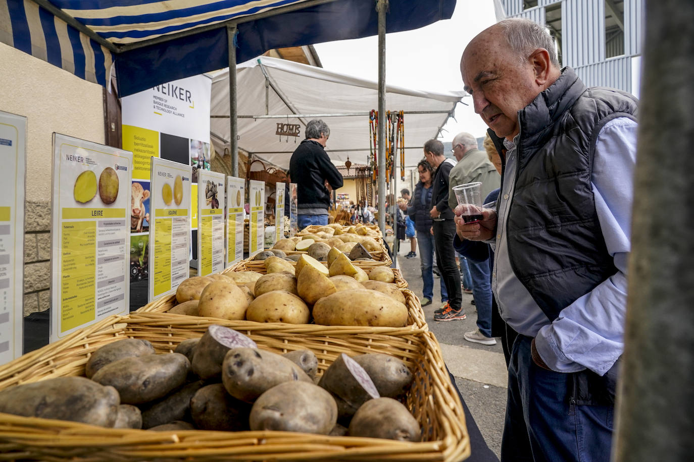 La Feria de la Patata de Valdegovía, en imágenes