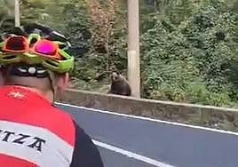 El sorprendente encuentro de cuatro ciclistas vizcaínos con un oso en Rumanía