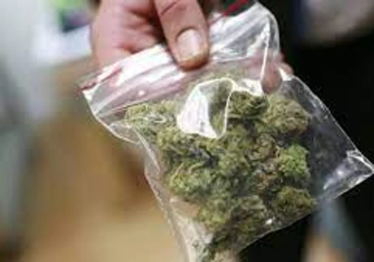 Uno de cada nueve adolescentes vascos consume cannabis al menos una vez al mes