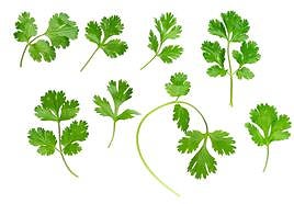 Perejil, para mejorar la piel y la vista