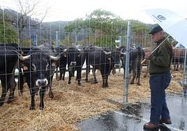 Azoka aurreko edizio batean.