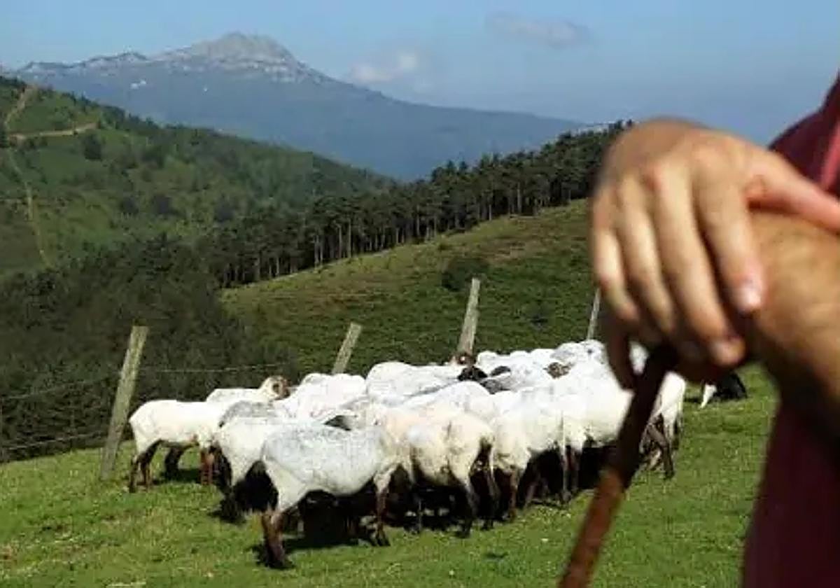 Del «no deberían andar sueltos», al «entonces, ¿para qué los quiero?
