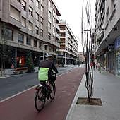 Mueren una veintena de árboles en Las Arenas por vertidos y actos incívicos