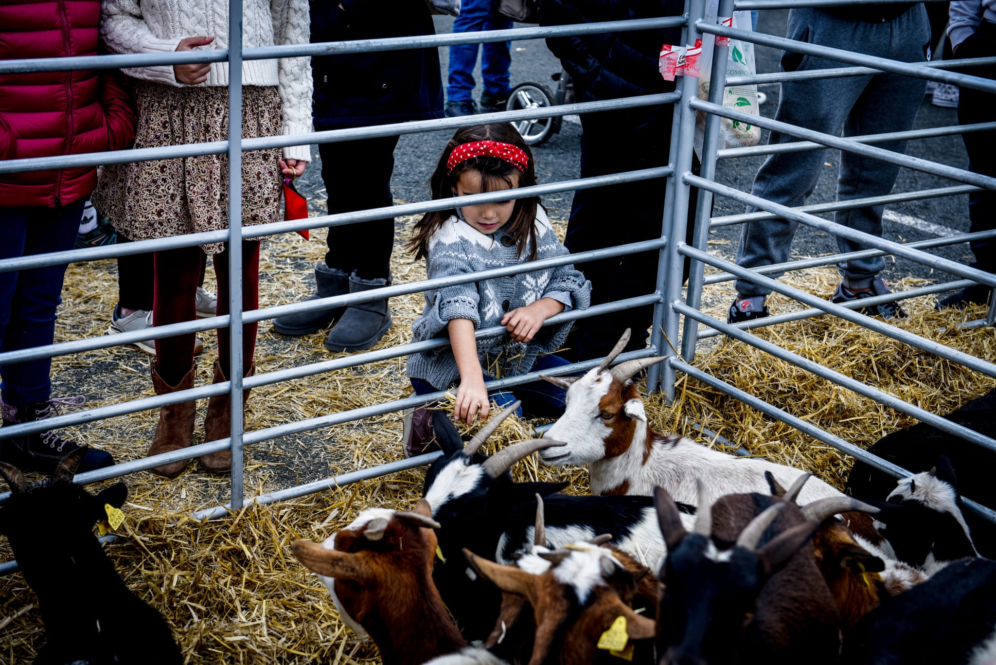 Feria agrícola y ganadera de La Arboleda en imágenes