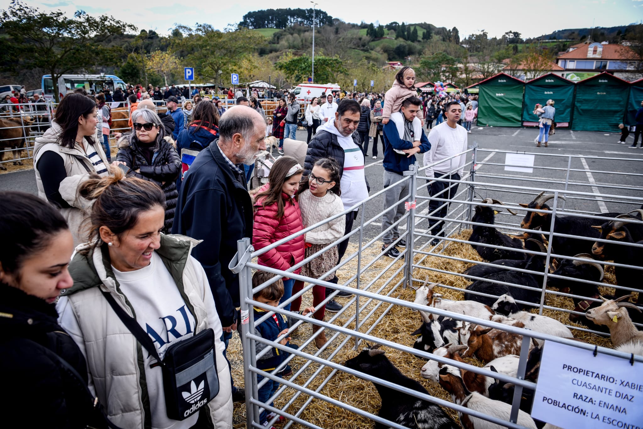 Feria agrícola y ganadera de La Arboleda en imágenes