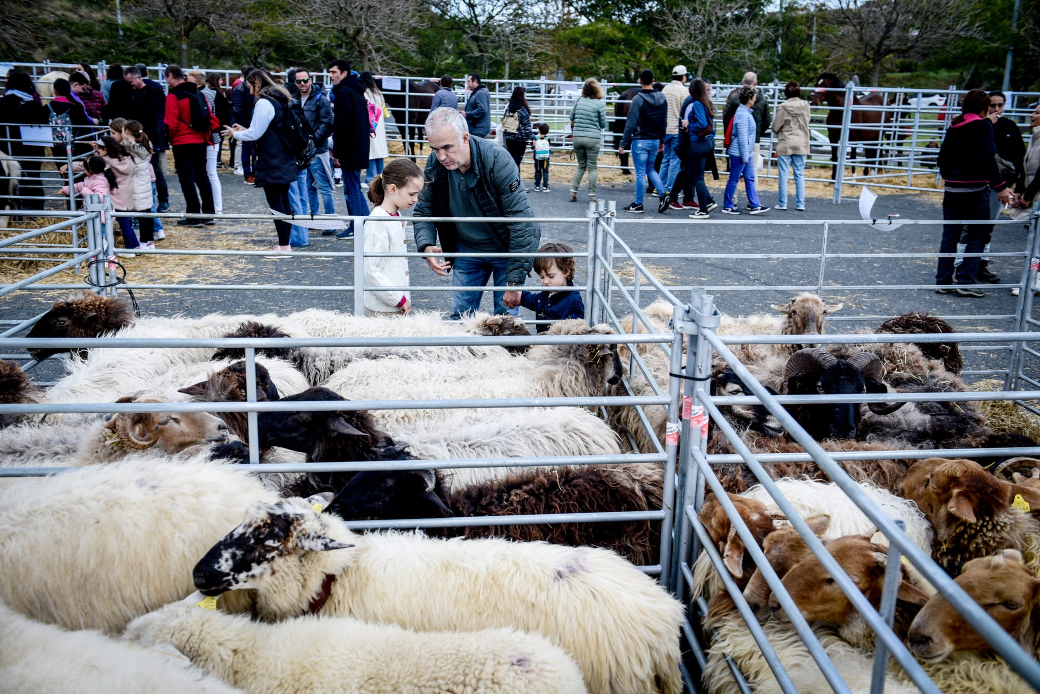Feria agrícola y ganadera de La Arboleda en imágenes