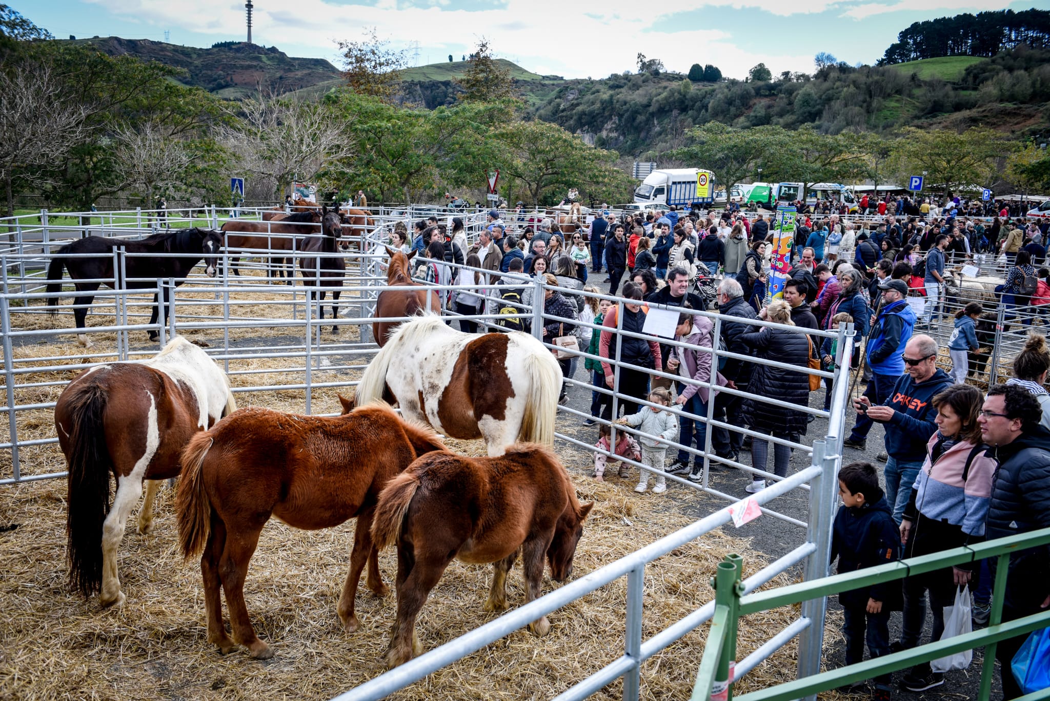 Feria agrícola y ganadera de La Arboleda en imágenes