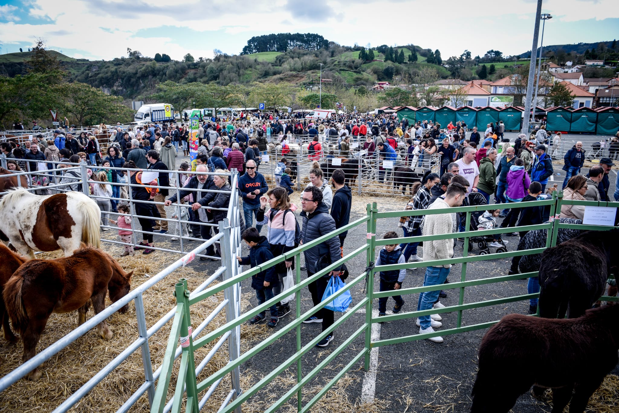 Feria agrícola y ganadera de La Arboleda en imágenes