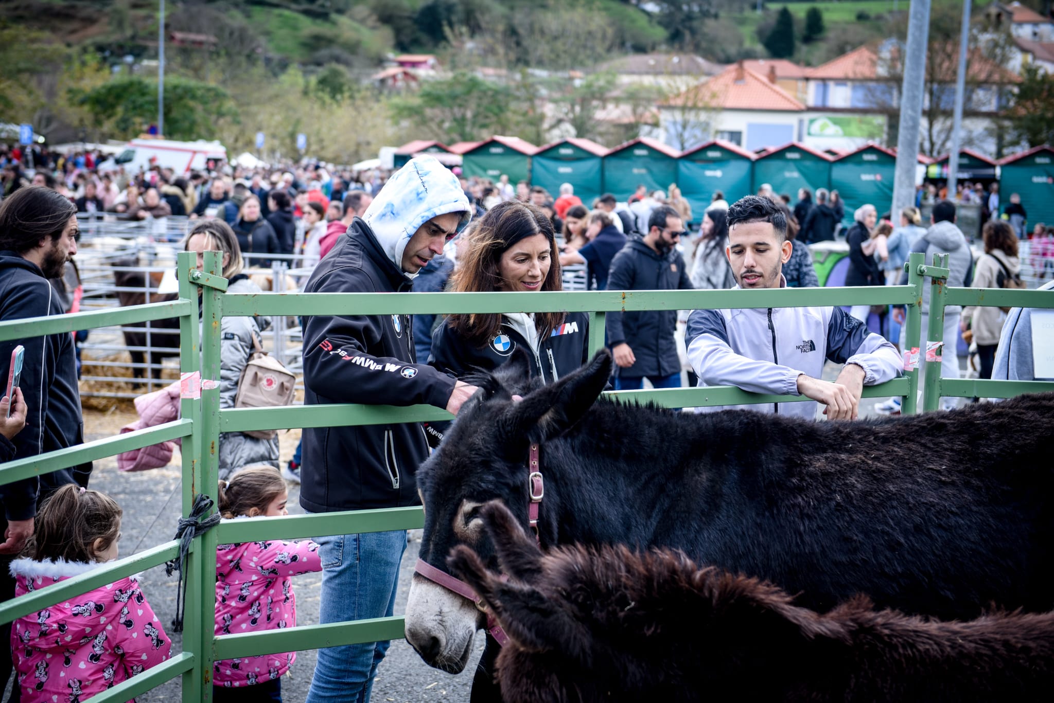 Feria agrícola y ganadera de La Arboleda en imágenes