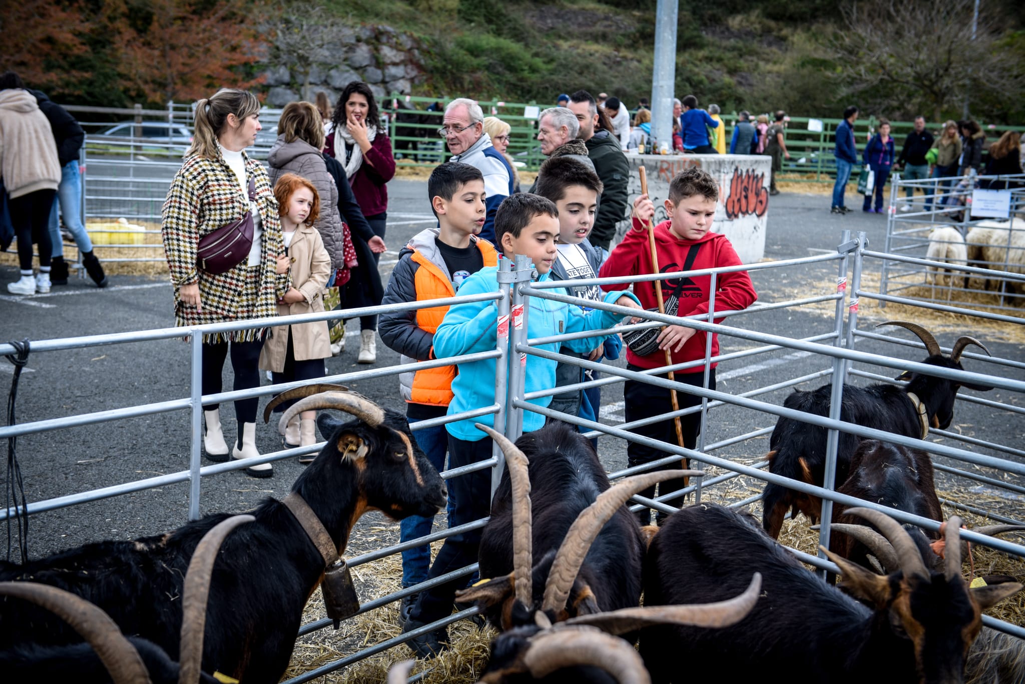 Feria agrícola y ganadera de La Arboleda en imágenes