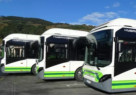 Once pueblos de Urdaibai reclaman mejoras en el transporte público