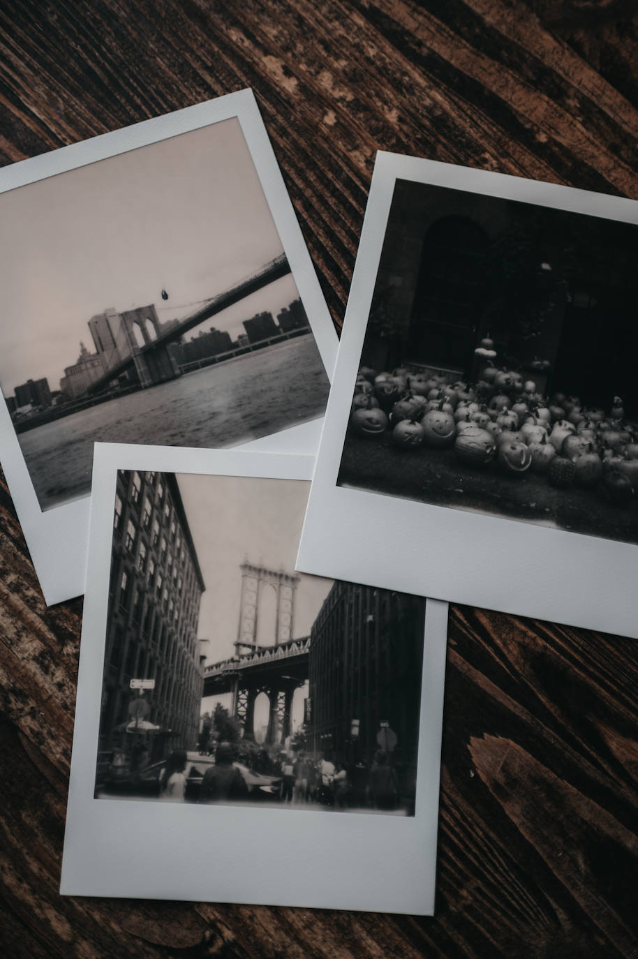 La fotógrafa de Gernika que triunfa fotografiando a los perros con sus dueños por Nueva York