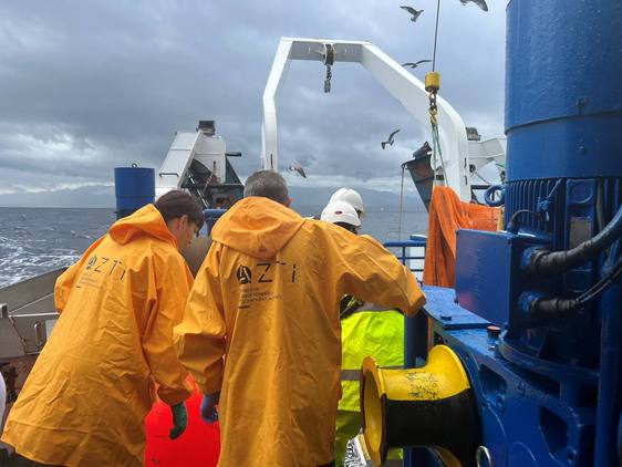 Científicos de Azti han evaluado el estado de las anchoas juveniles en el Golfo de Bizkaia.