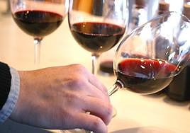 El 'campus del vino' recibirá 15 millones entre fondos de la Diputación de Álava y el Gobierno vasco.