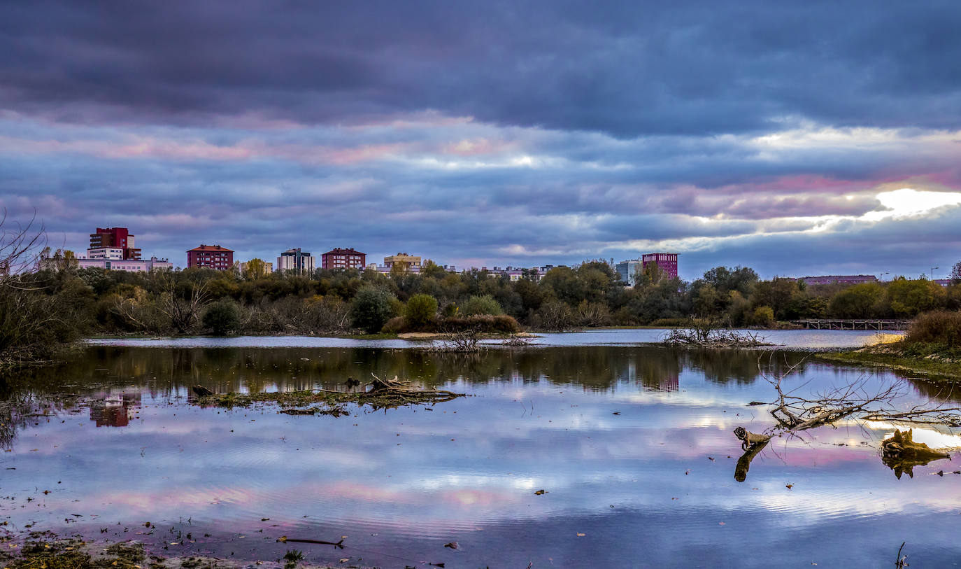 El humedal de Salburua, durante un atardecer de este otoño.