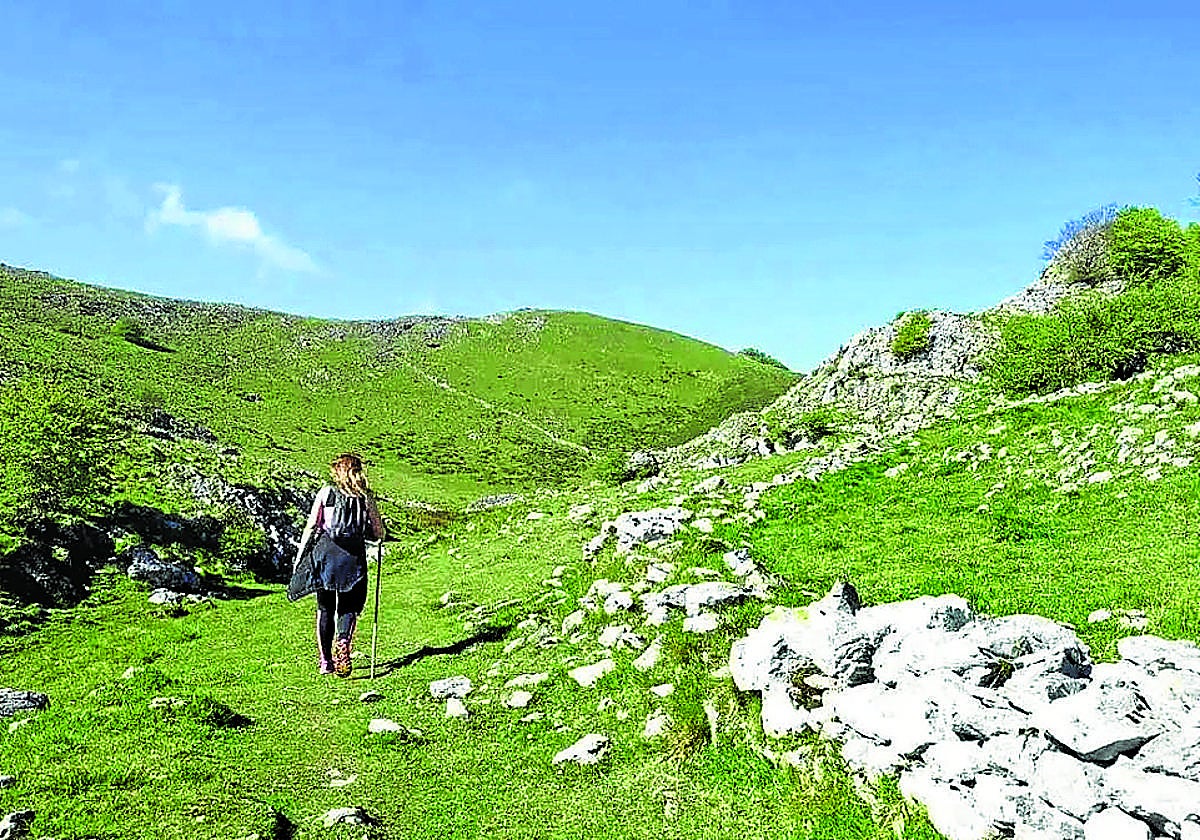 El lauburu de la cima del Eretza con el cortafuegos detrás.