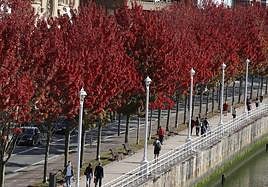 ¿Continuará los próximos días el tiempo otoñal?