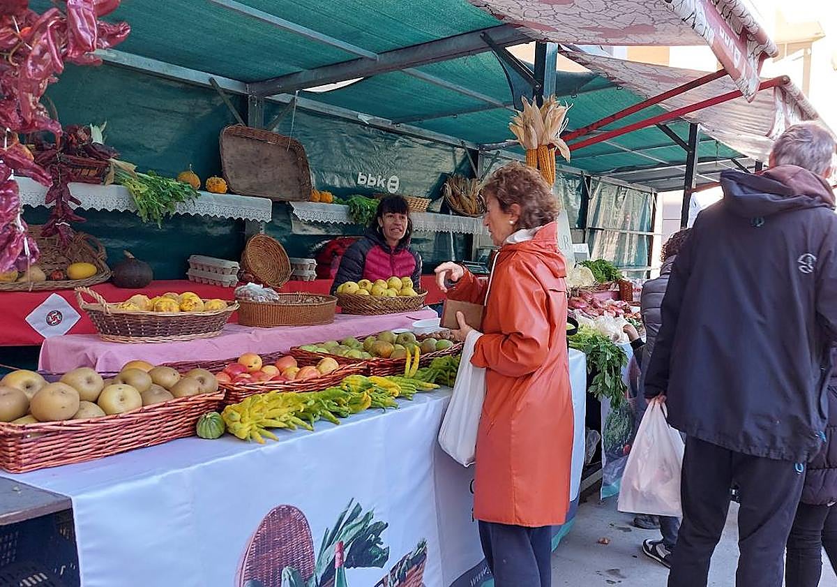 Imagen principal - La inflación golpea al sector agrícola y ganadero: «A corto plazo no vamos a aguantar»