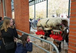 Miles de personas han aprovechado el buen tiempo para acercarse a la feria de Leioa.