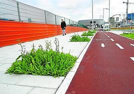 Como un solar. Las nuevas plantaciones pretenden hacer más amable la escena urbana de Zorrozaurre.