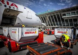 Un trabajador del handling de Iberia atiende los equipajes de un vuelo en la plataforma.