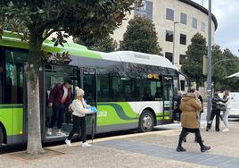 Los autobuses pueden tardar dos horas y hacer sesenta paradas para llegar desde Ayala al hospital de Galdakao.