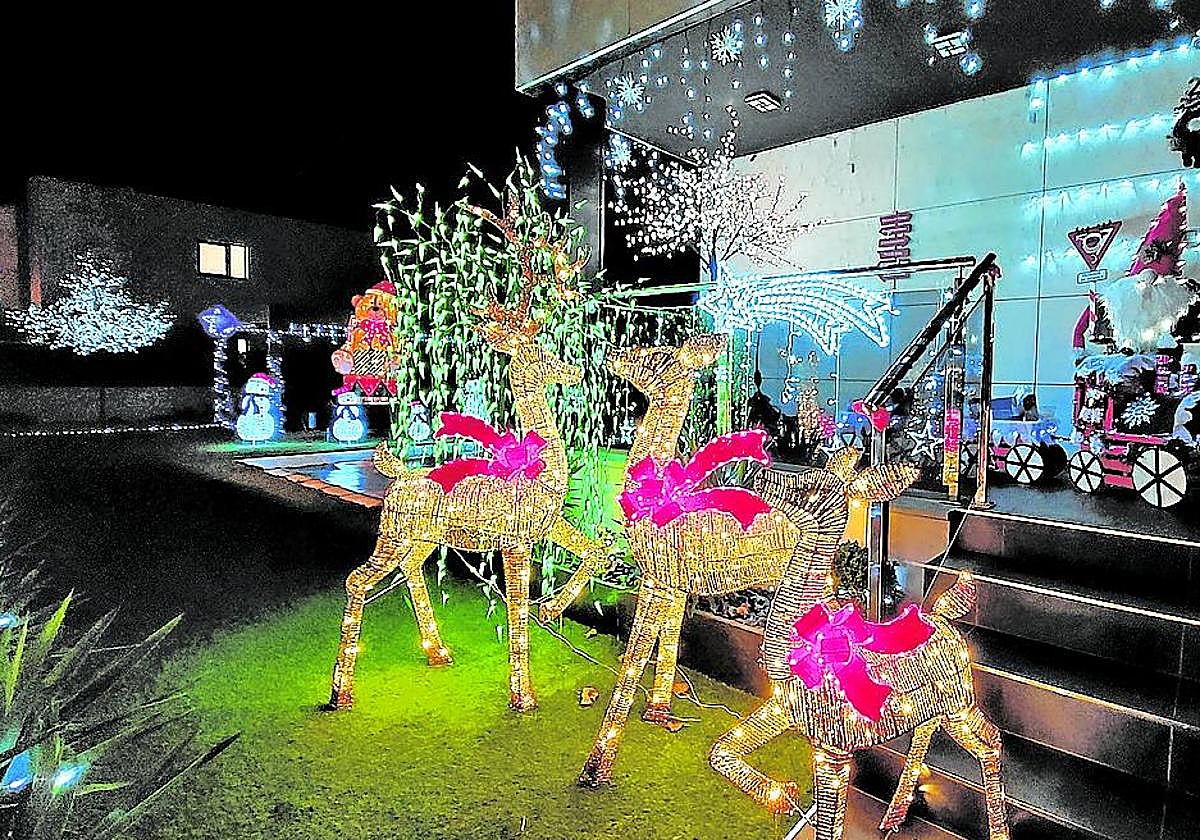 El jardín de Iratxe España y Aitor Hernández, en su casa de Gorostiza, cuenta con varias figuras y luces.