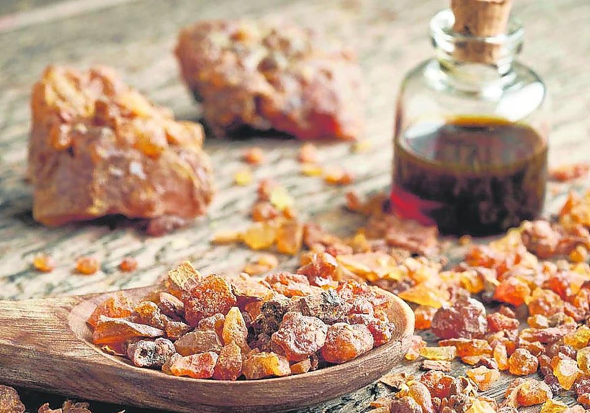 La resina ambarina de múltiples aplicaciones.