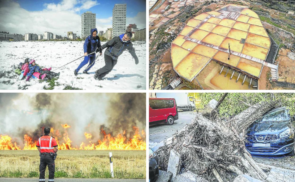 En 2022 hubo nieve en primavera, calima, decenas de incendios forestales y un vendaval que arrancó árboles de cuajo. 