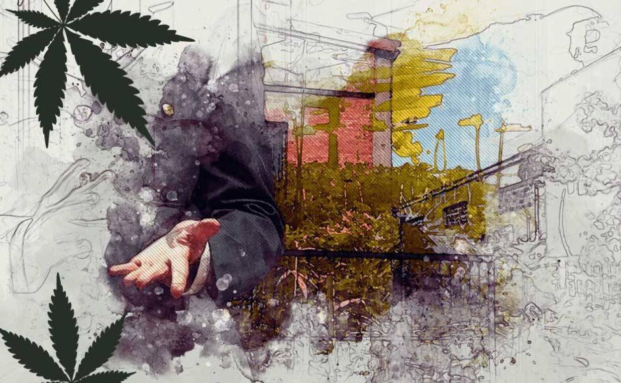 Mañana, en EL CORREO, especial sobre la marihuana en Euskadi