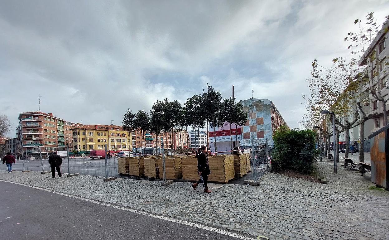 Los primeros árboles que se colocarán en la plaza ya se pueden ver en sus respectivas jardineras, en la isla de obras. 