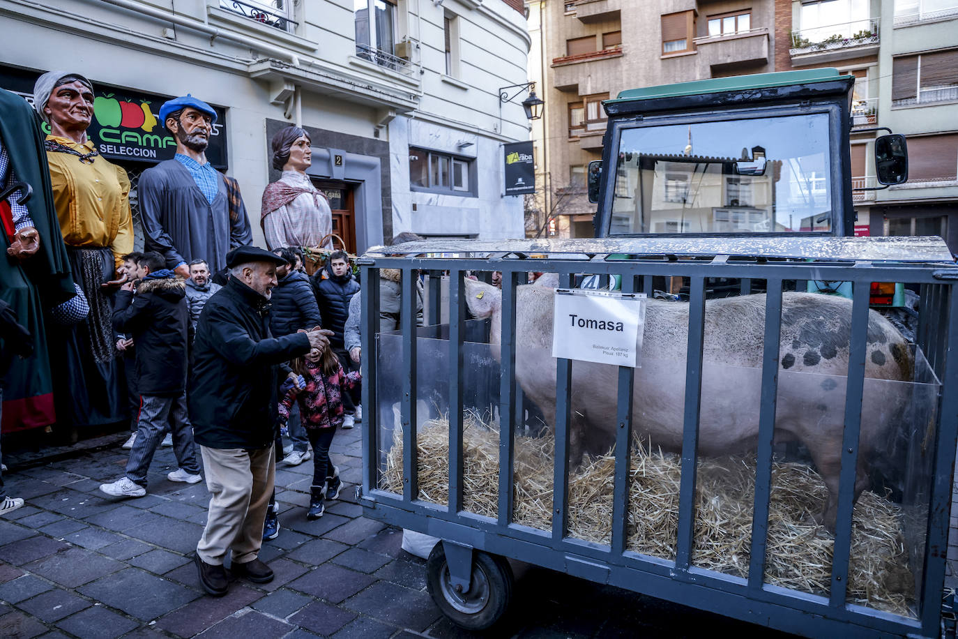 Fotos: La cerda Tomasa preside la rifa de San Antón