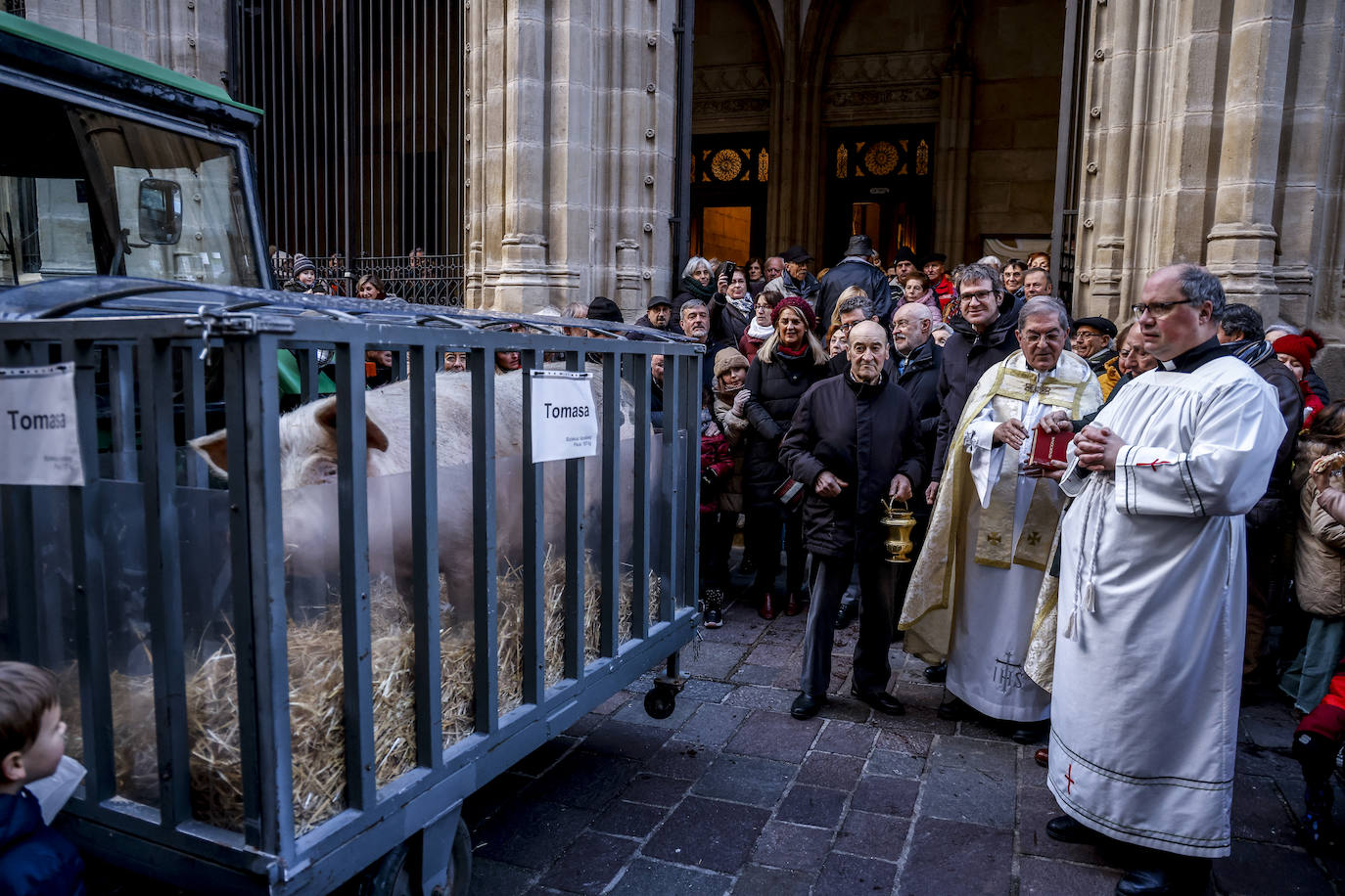 Fotos: La cerda Tomasa preside la rifa de San Antón