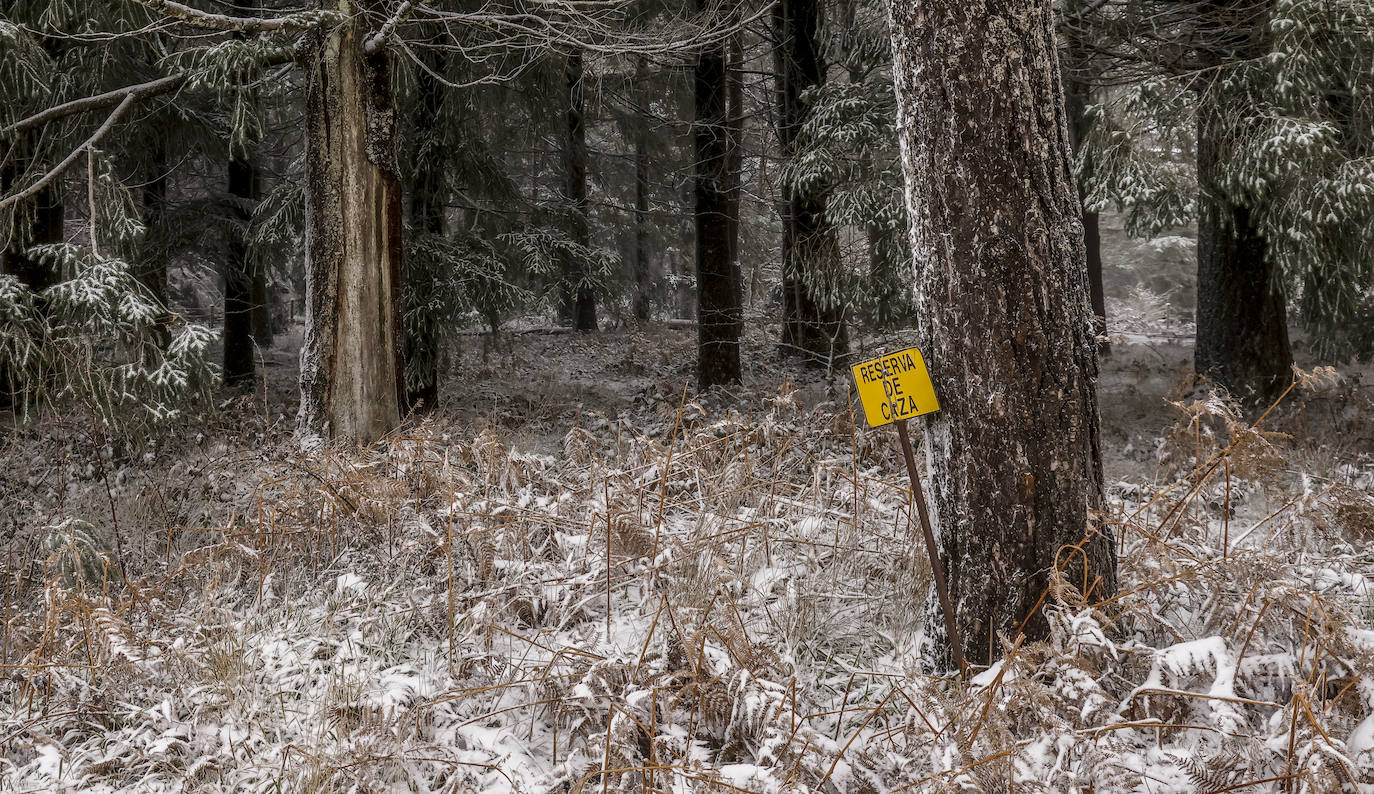 Fotos: Imágenes de la nieve en Álava