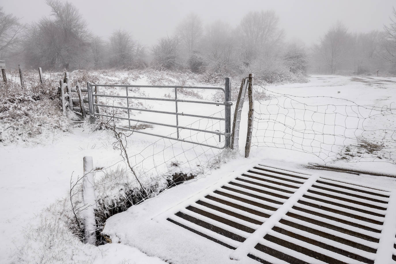 Fotos: Imágenes de la nieve en Álava