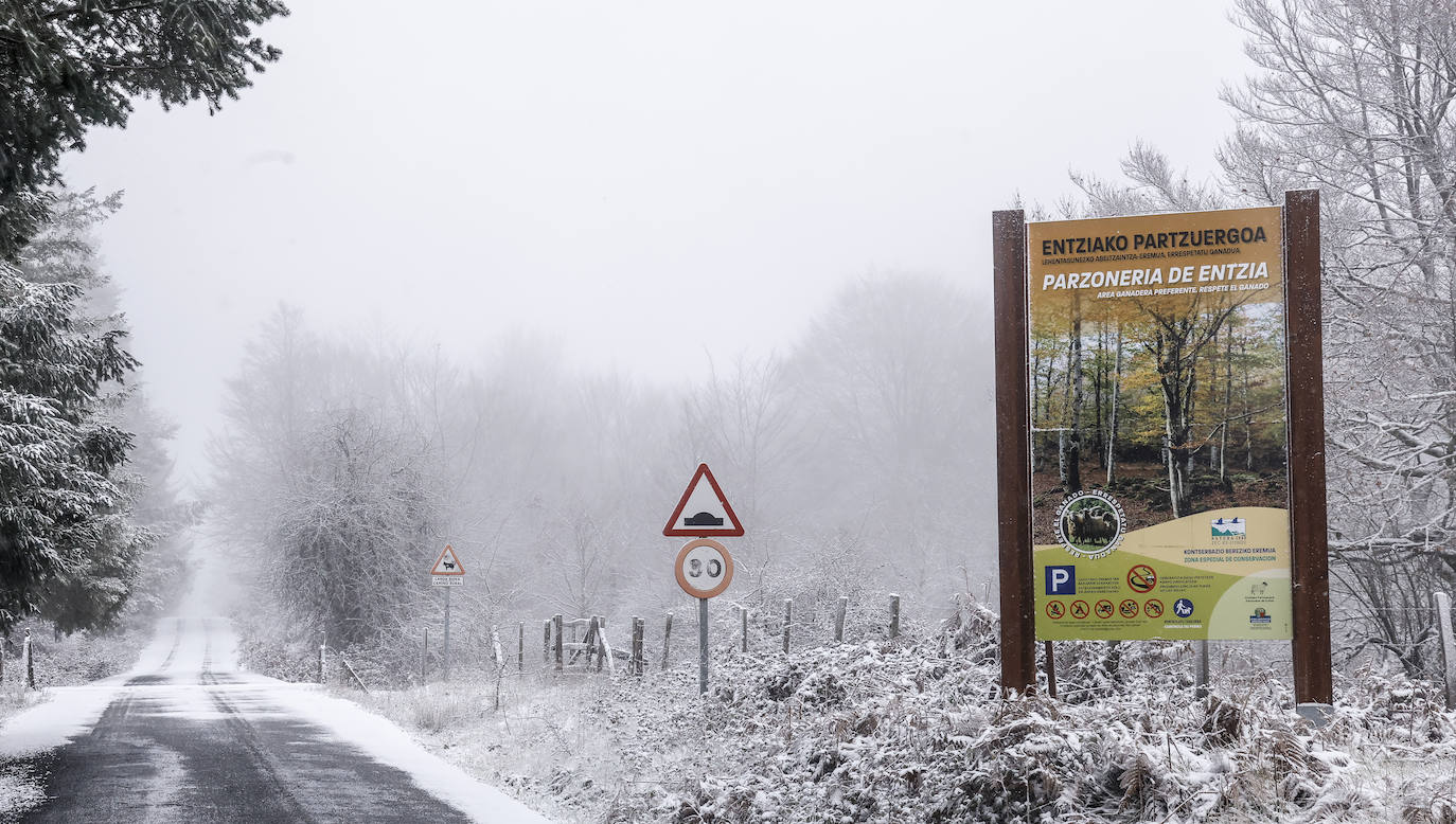 Fotos: Imágenes de la nieve en Álava