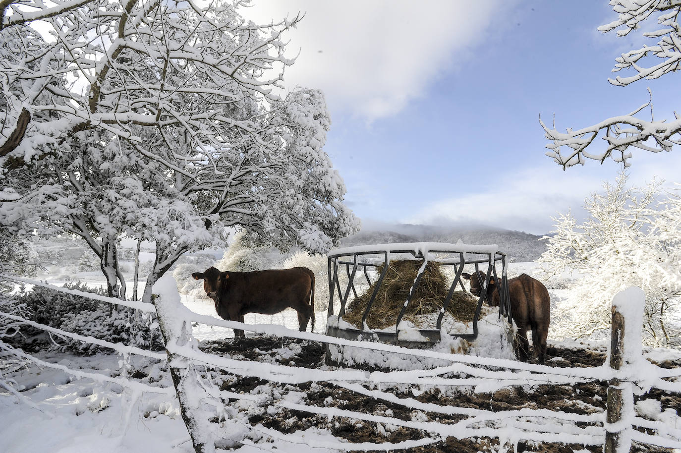 Fotos: Álava vive el primer temporal de nieve del invierno