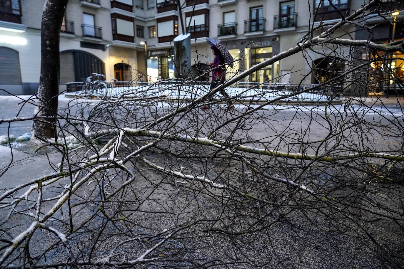 Fotos: Álava vive el primer temporal de nieve del invierno