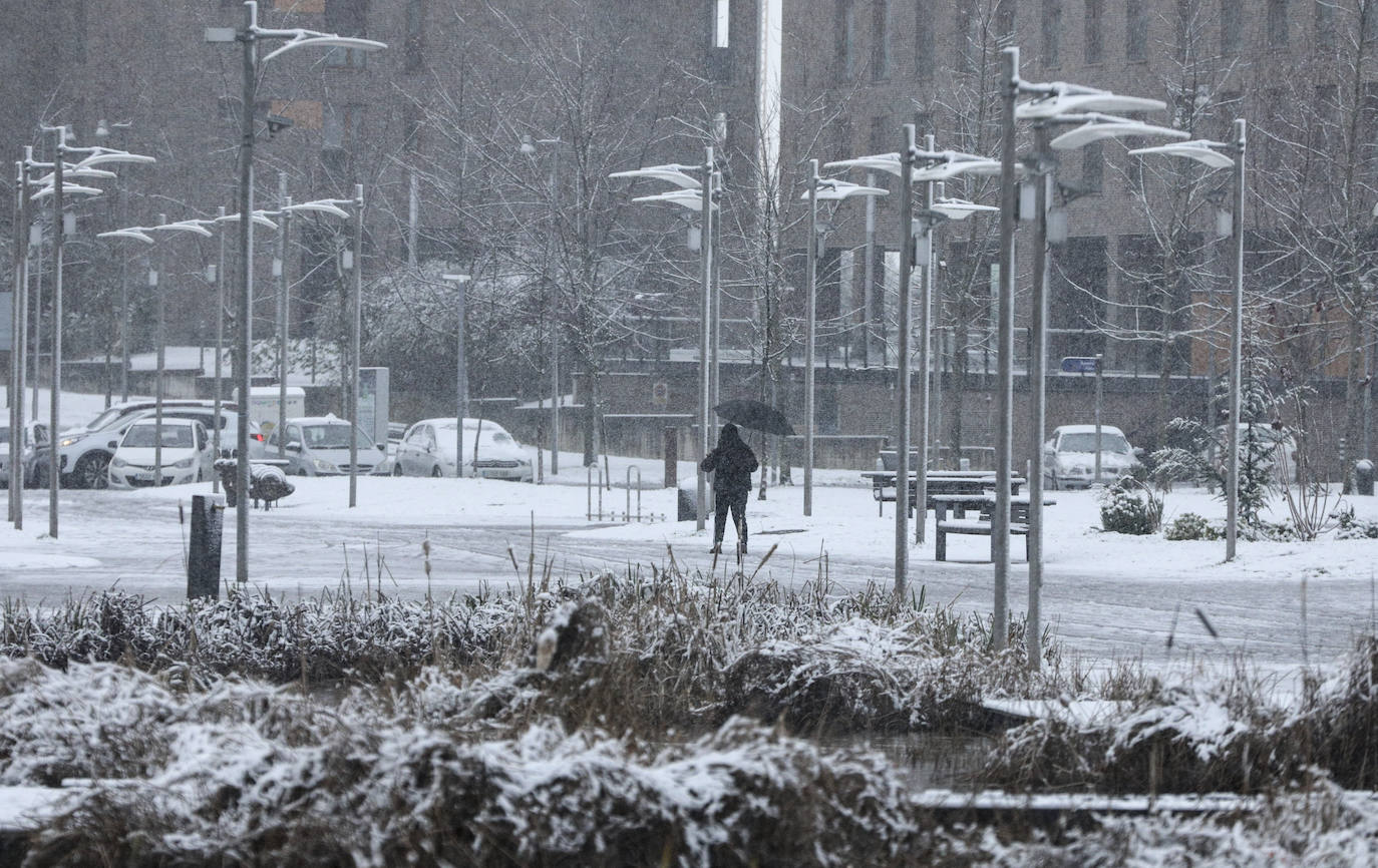 Fotos: Álava vive el primer temporal de nieve del invierno