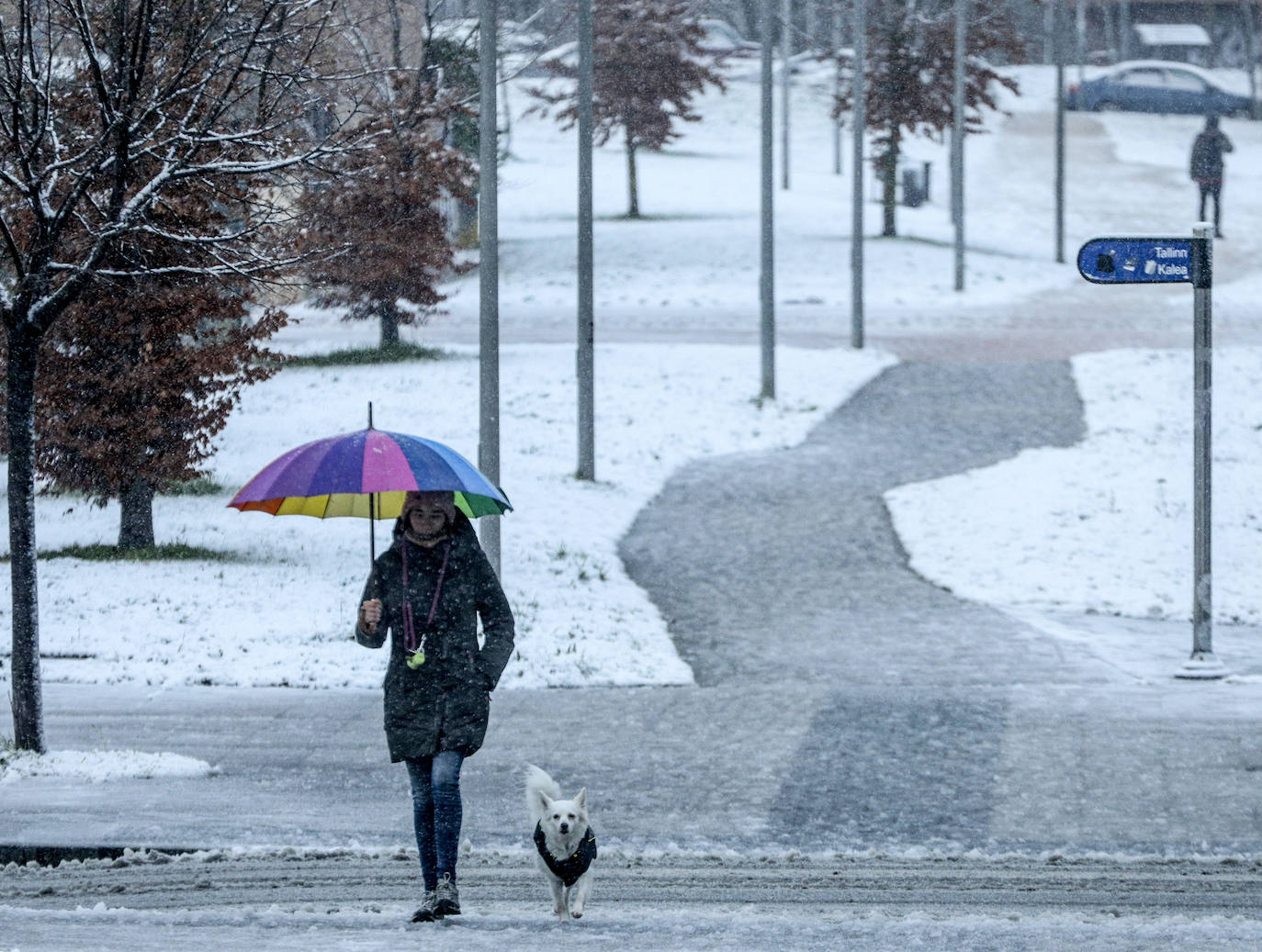 Fotos: Álava vive el primer temporal de nieve del invierno