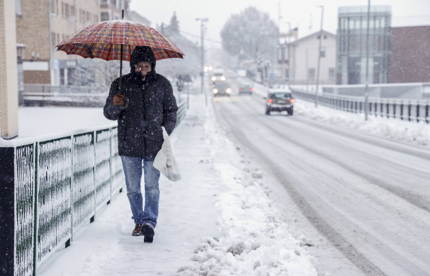 Fotos: Álava vive el primer temporal de nieve del invierno