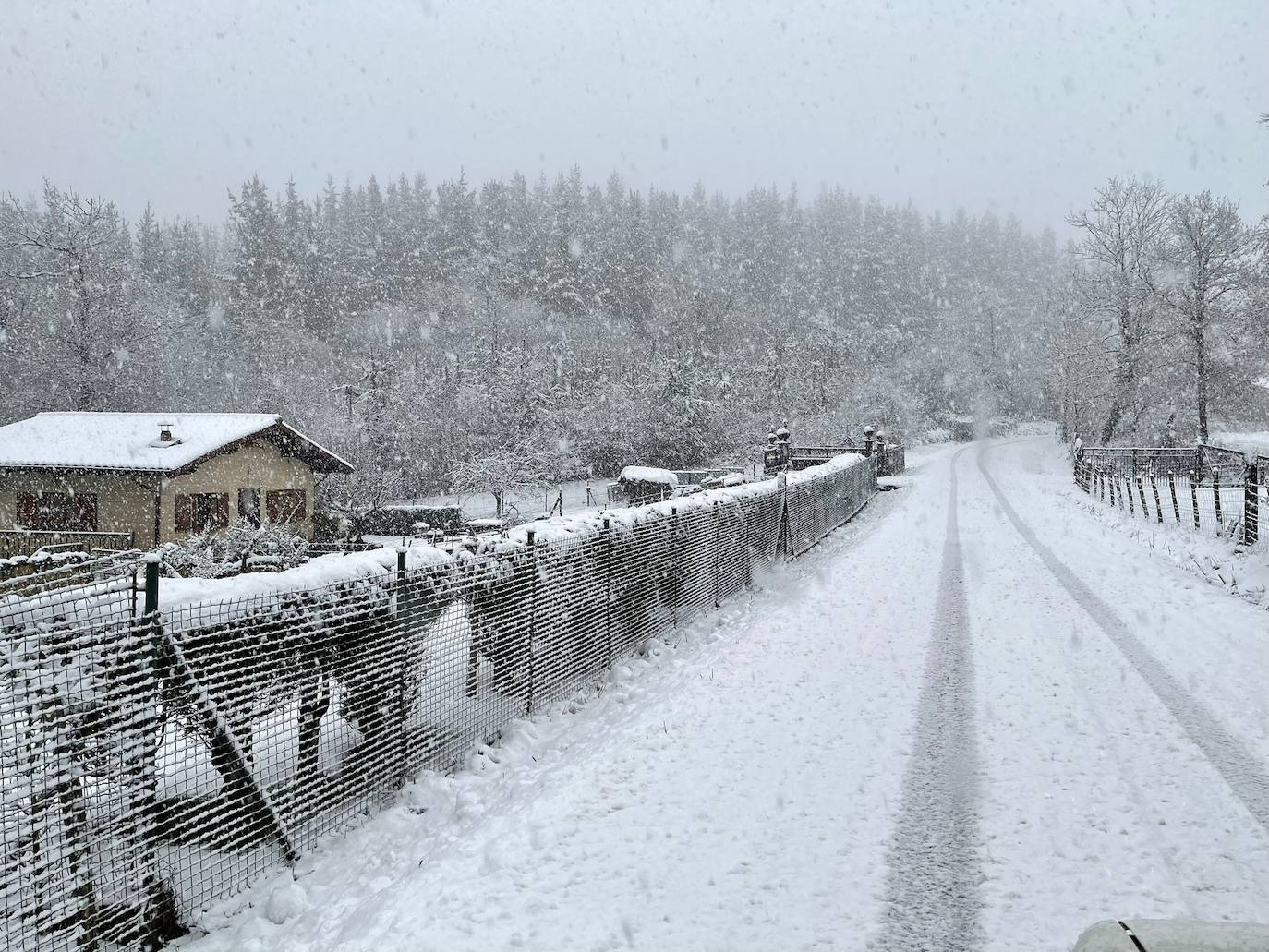 La nieve ha vuelto a cer esta tarde con intensidad en Malkuartu.