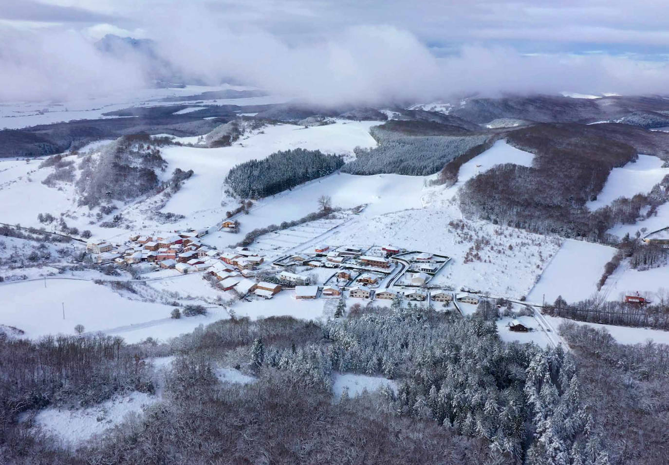 Urturi bajo la nieve