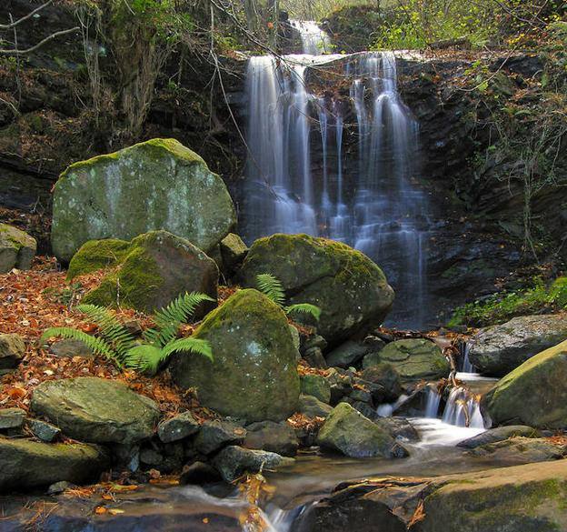 Cascada La Argañeda (Carranza) | La ruta sale del pueblo de Lanzas Agudas. Seguimos hasta el vecino Aguasal y nos desviamos a la izquierda hasta Salviejo. Después de tres kilómetros de paseo llegamos a una balsa artificial para recoger agua y un poco más arriba, bastante escondida, está la cascada de La Argañeda.