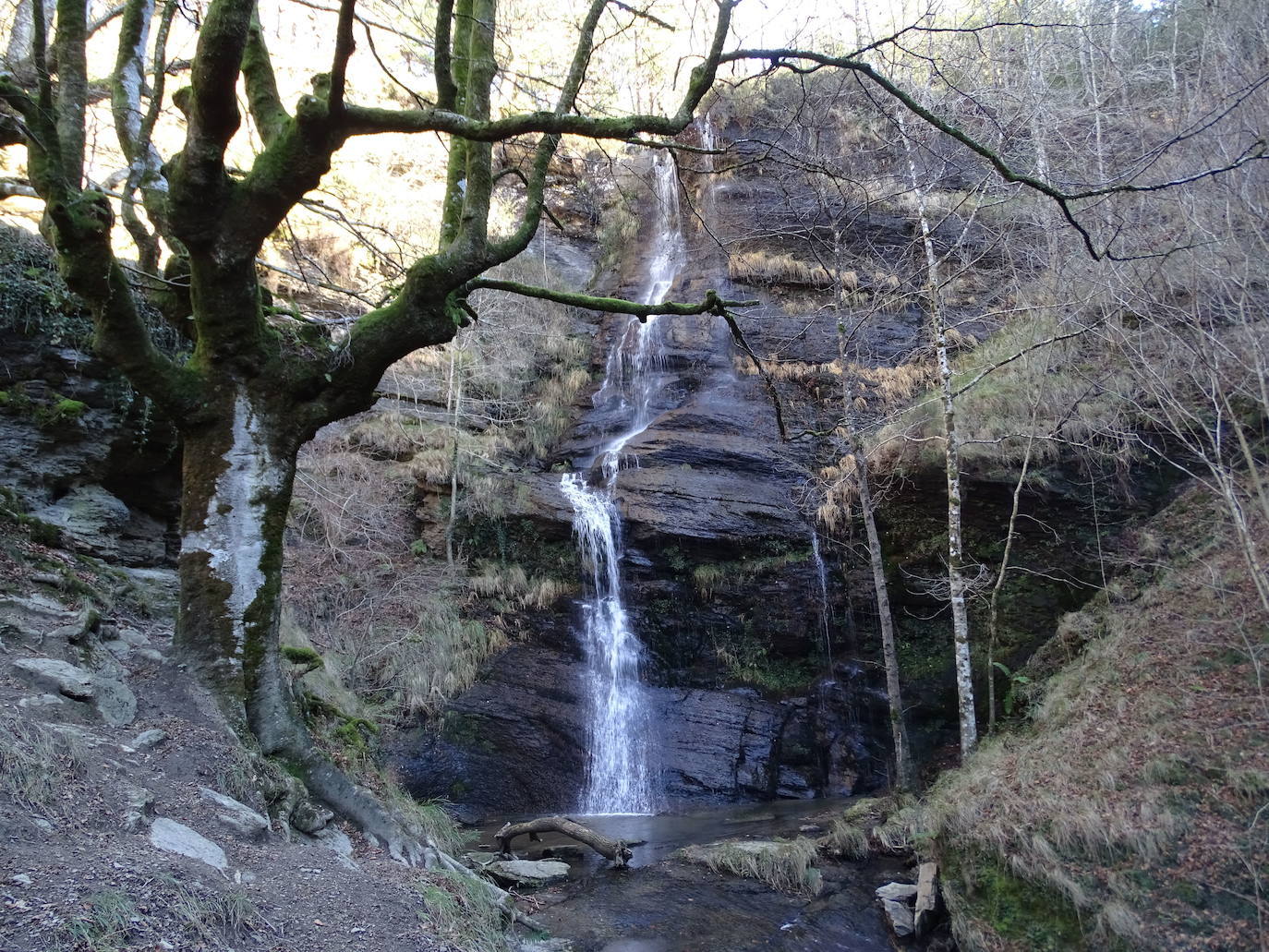 Cascada de Uguna (Bizkaia) | Está en el Parque Natural Gorbeia. La ruta parte del parking de Saldropo debemos tomar la pista asfaltada que sale a su derecha durante 700 metros, para coger una senda forestal que sale a la izquierda. Ésta va girando progresivamente hasta que un sonido relajante hace que nos detengamos de repente. Se trata de la cascada de Uguna, un fabuloso remanso de paz en el hayedo de Uguzpe.