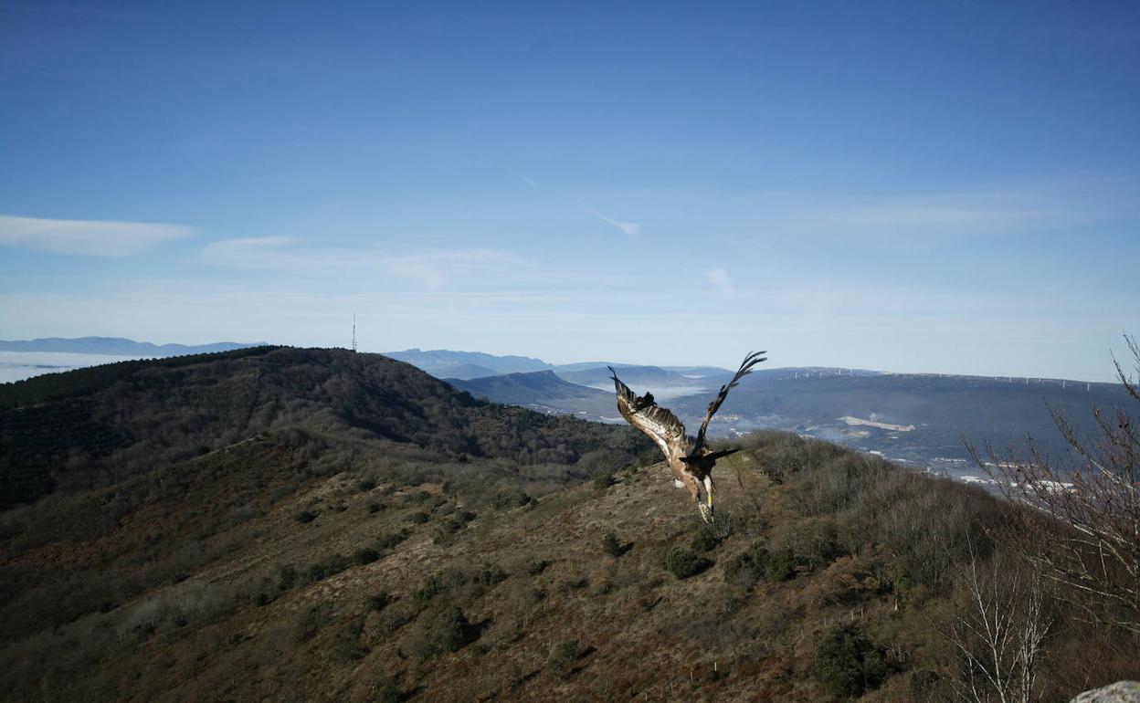 Vista de los Montes de Vitoria.